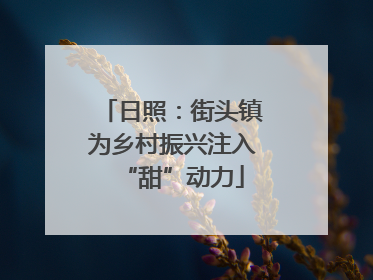 日照：街头镇为乡村振兴注入“甜”动力