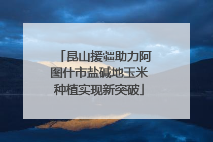 昆山援疆助力阿图什市盐碱地玉米种植实现新突破