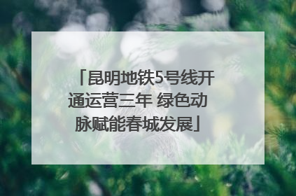 昆明地铁5号线开通运营三年 绿色动脉赋能春城发展