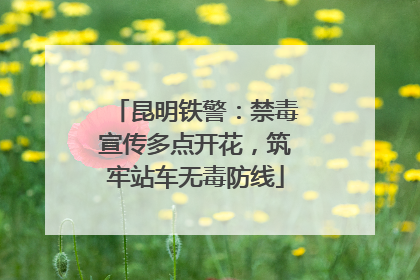 昆明铁警：禁毒宣传多点开花，筑牢站车无毒防线