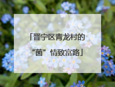 晋宁区青龙村的“菌”情致富路