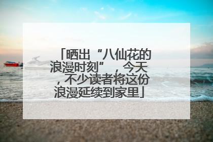 晒出“八仙花的浪漫时刻”，今天，不少读者将这份浪漫延续到家里