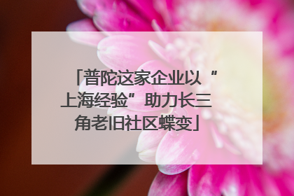 普陀这家企业以“上海经验”助力长三角老旧社区蝶变