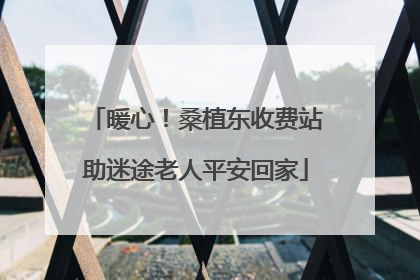 暖心！桑植东收费站助迷途老人平安回家