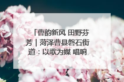 曹韵新风 田野芬芳｜菏泽曹县磐石街道：以歌为媒 唱响乡土“新歌声”