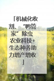 机械化收割、“鸭管家”除虫 农业科技+生态种养助力增产增收