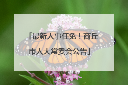 最新人事任免！商丘市人大常委会公告