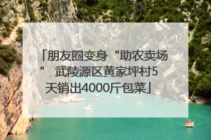 朋友圈变身“助农卖场” 武陵源区黄家坪村5天销出4000斤包菜