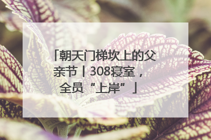 朝天门梯坎上的父亲节丨308寝室，全员“上岸”