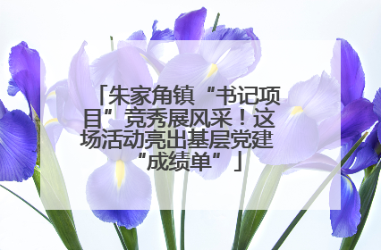 朱家角镇“书记项目”竞秀展风采！这场活动亮出基层党建“成绩单”