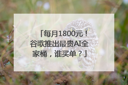 每月1800元！谷歌推出最贵AI全家桶，谁买单？