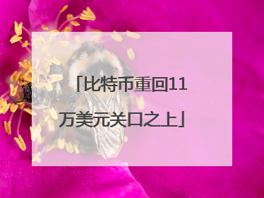 比特币重回11万美元关口之上