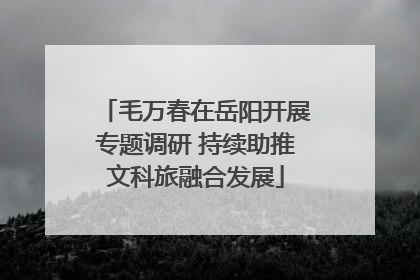 毛万春在岳阳开展专题调研 持续助推文科旅融合发展