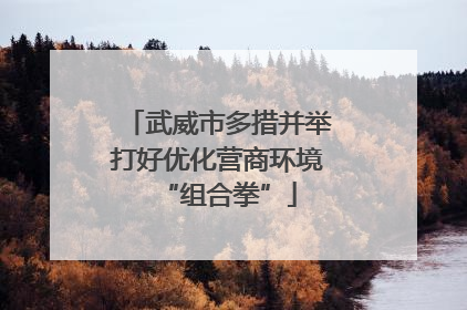 武威市多措并举打好优化营商环境“组合拳”