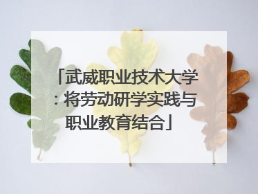 武威职业技术大学：将劳动研学实践与职业教育结合
