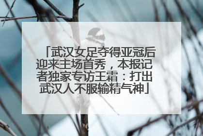 武汉女足夺得亚冠后迎来主场首秀，本报记者独家专访王霜：打出武汉人不服输精气神
