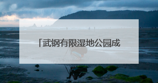武钢有限湿地公园成为珍稀鸟类栖息地