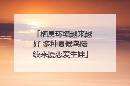 栖息环境越来越好 多种夏候鸟陆续来厦恋爱生娃