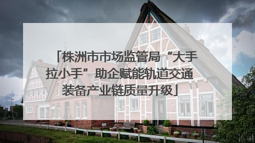 株洲市市场监管局“大手拉小手”助企赋能轨道交通装备产业链质量升级