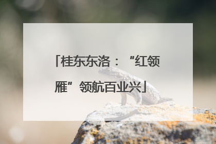 桂东东洛：“红领雁”领航百业兴