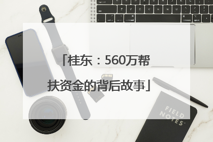 桂东：560万帮扶资金的背后故事