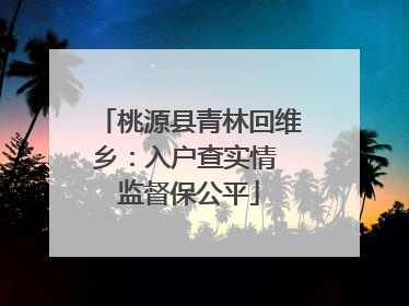 桃源县青林回维乡：入户查实情 监督保公平