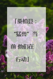 桑植县：“猛兽”当前 他们在行动