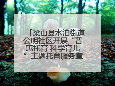梁山县水泊街道公明社区开展“普惠托育 科学育儿”主题托育服务宣传活动