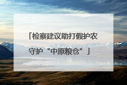 检察建议助打假护农守护“中原粮仓”