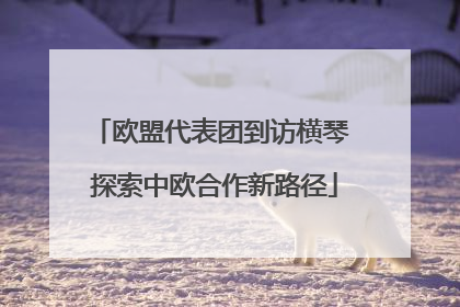 欧盟代表团到访横琴 探索中欧合作新路径