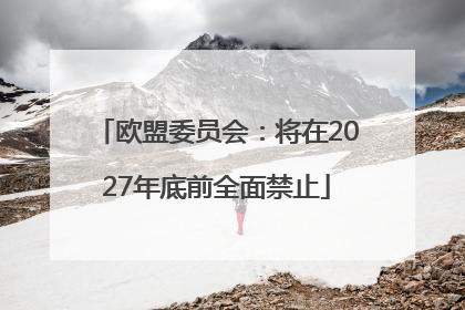 欧盟委员会：将在2027年底前全面禁止