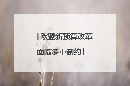 欧盟新预算改革面临多重制约