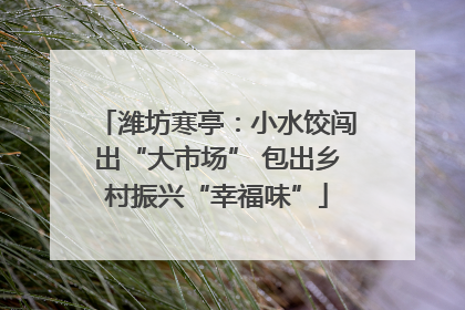 潍坊寒亭：小水饺闯出“大市场” 包出乡村振兴“幸福味”