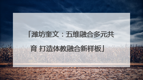 潍坊奎文：五维融合多元共育 打造体教融合新样板