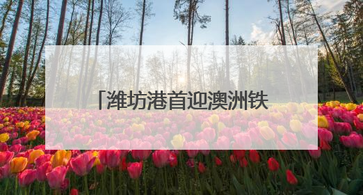潍坊港首迎澳洲铁矿直达船 海事局护航降本增效新通道