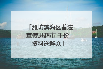 潍坊滨海区普法宣传进超市 千份资料送群众