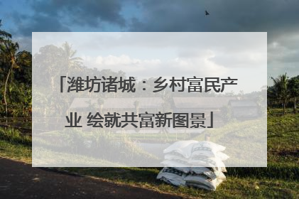 潍坊诸城：乡村富民产业 绘就共富新图景