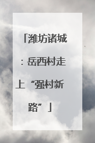 潍坊诸城：岳西村走上“强村新路”