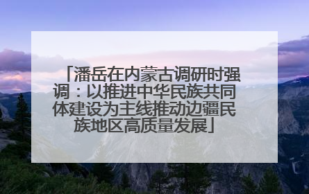 潘岳在内蒙古调研时强调：以推进中华民族共同体建设为主线推动边疆民族地区高质量发展