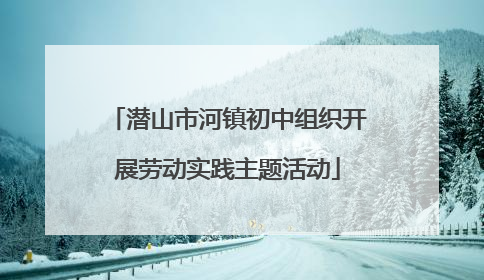 潜山市河镇初中组织开展劳动实践主题活动