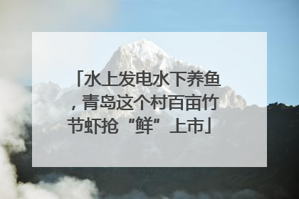 水上发电水下养鱼，青岛这个村百亩竹节虾抢“鲜”上市
