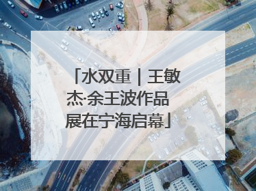 水双重｜王敏杰·余王波作品展在宁海启幕