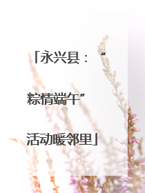 永兴县：“粽情端午” 活动暖邻里