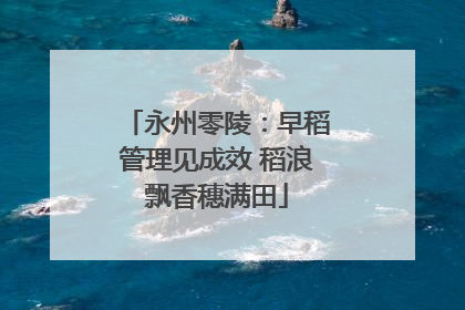 永州零陵：早稻管理见成效 稻浪飘香穗满田