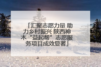 汇聚志愿力量 助力乡村振兴 陕西神木“益起帮”志愿服务项目成效显著