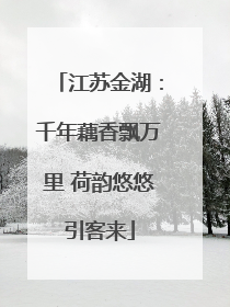江苏金湖：千年藕香飘万里 荷韵悠悠引客来