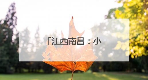 江西南昌：小菌菇撑起乡村振兴“致富伞”