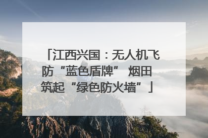 江西兴国：无人机飞防“蓝色盾牌” 烟田筑起“绿色防火墙”