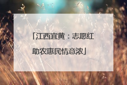 江西宜黄：志愿红助农惠民情意浓
