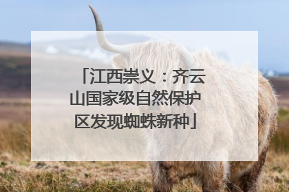 江西崇义：齐云山国家级自然保护区发现蜘蛛新种